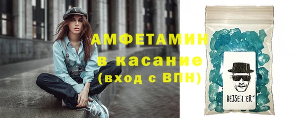 стаф Кущёвская
