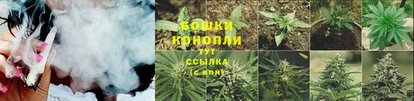 соль ск Александровское