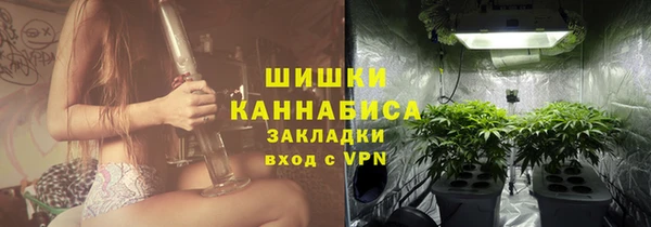 ГАЛЛЮЦИНОГЕННЫЕ ГРИБЫ Иноземцево