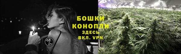 соль ск Александровское