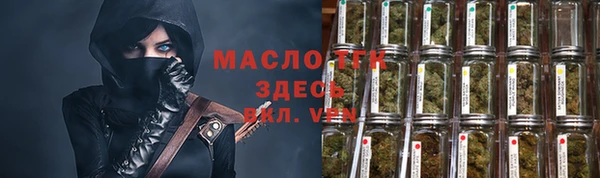 стаф Кущёвская