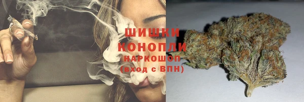 стаф Кущёвская
