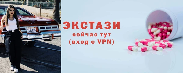 стаф Кущёвская