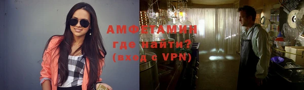 стаф Кущёвская