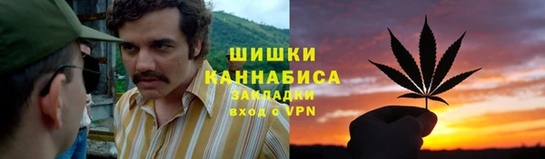 соль ск Александровское