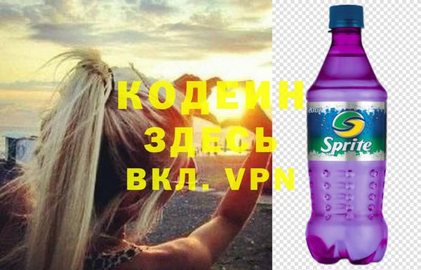 стаф Кущёвская