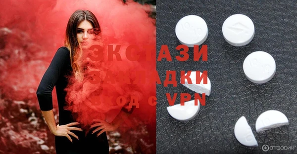 стаф Кущёвская