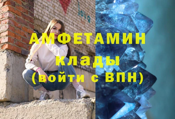 стаф Кущёвская
