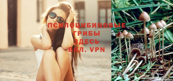 соль ск Александровское