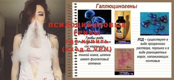 ГАЛЛЮЦИНОГЕННЫЕ ГРИБЫ Иноземцево