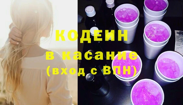 стаф Кущёвская